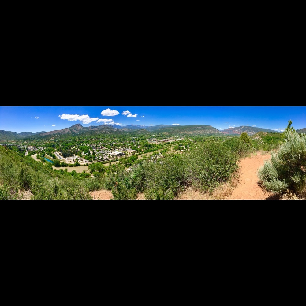 Meet your Posher, Mollie